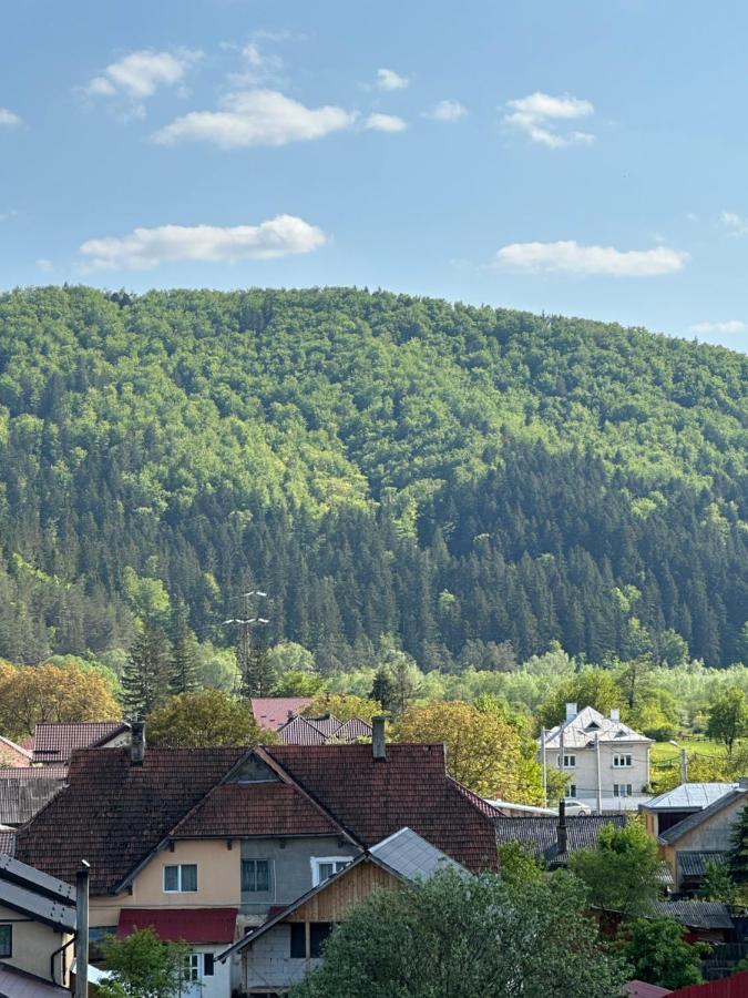 Apartamente Arinis Gura Humorului Buitenkant foto