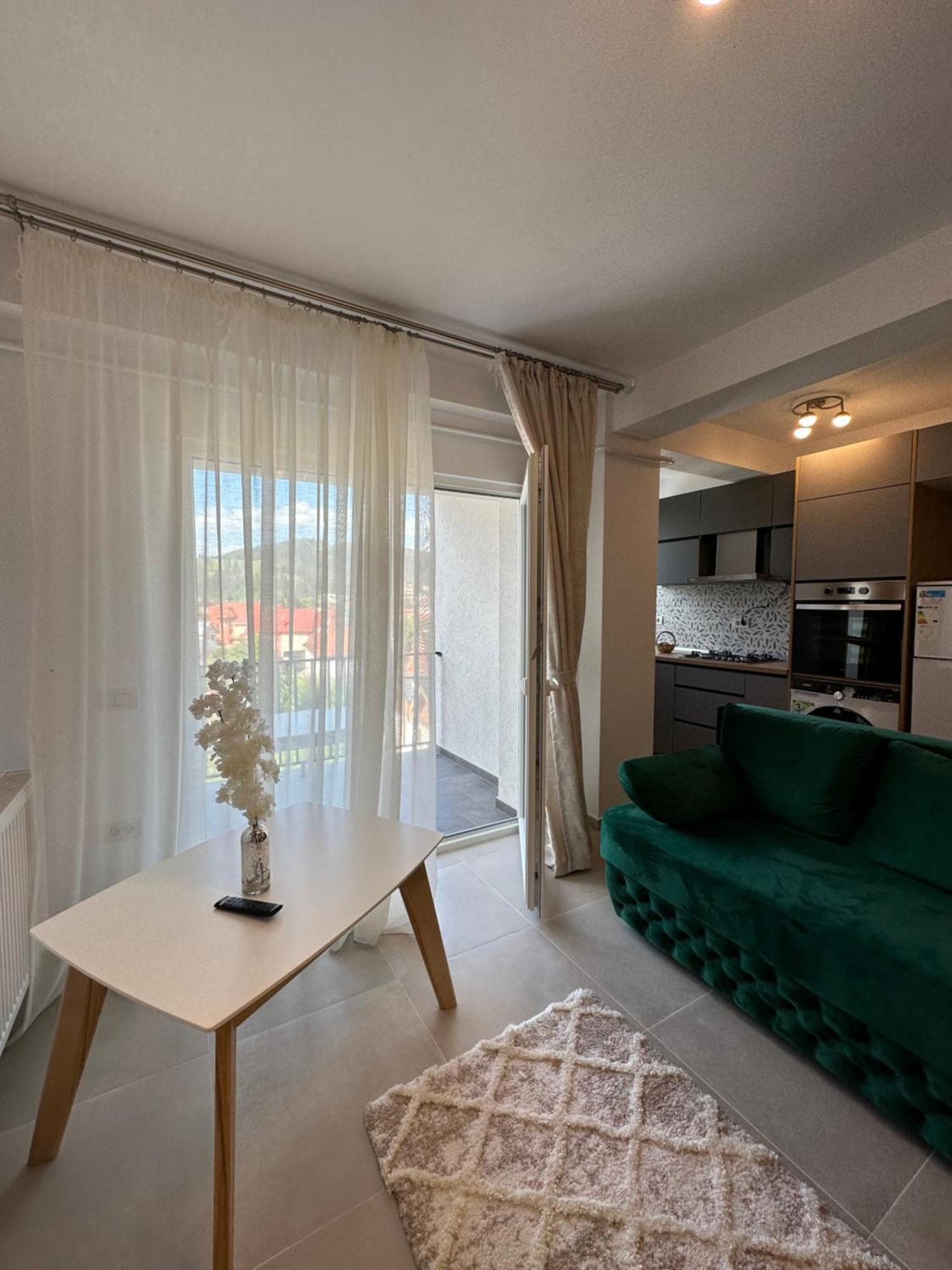 Apartamente Arinis Gura Humorului Buitenkant foto